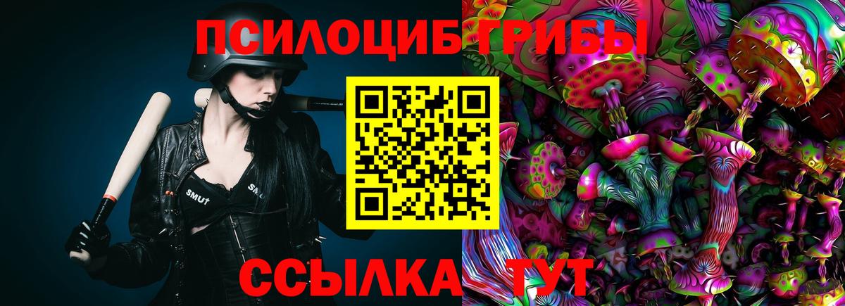 Галлюциногенные грибы Psilocybe Сафоново
