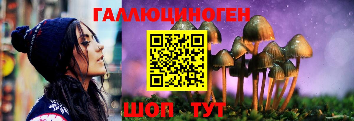 Сафоново  Галлюциногенные грибы Magic Shrooms  Вход с VPN 